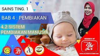 SAINS TINGKATAN 1  BAB 4 PEMBIAKAN  42 SISTEM PEMBIAKAN MANUSIA [upl. by Holmen]