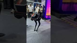 A bipedal robot that can push pull and kick without falling [upl. by Analram]