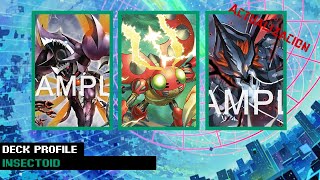 Digimon TCG  Deck Insectoid BT16  Recibe un empujón para el meta [upl. by Ymmak168]