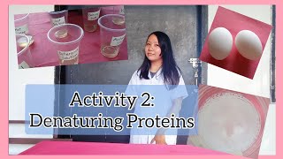 Activity 2 Denaturing Proteins Biochemistry DenaturingProteins [upl. by Kered53]