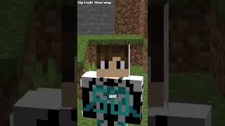 You Know About Minecraft 2B2T Server shorts minecraft [upl. by Klarrisa440]