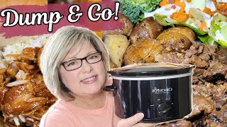 AMAZING 5 Ingredient DUMP AND GO Crockpot Recipes That Will Blow Your Mind 🤩 [upl. by Alden370]