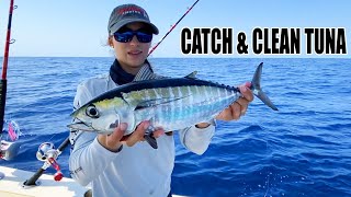 CATCH amp CLEAN TUNA 🍣🎣 How to catch Blackfin Tuna  Gale Force Twins [upl. by Lief]