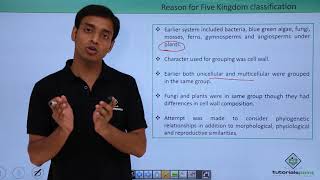 Class 11th – Biological Classification  Five Kingdom  Biological Classification  Tutorials Point [upl. by Nerag402]