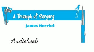 Class 10  A Triumph of Surgery  James Herriot  Audiobook [upl. by Haldas]