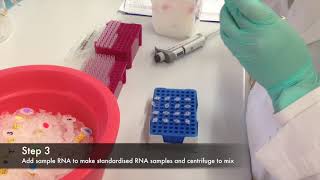 cDNA methods [upl. by Anurag]