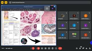 HISTOLOGÍA DE GLÁNDULAS ANEXAS [upl. by Yendis]