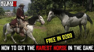 How to Get the Splashed White American Paint  Red Dead Redemption 2 [upl. by Nahshunn37]