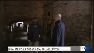 Brunelleschi a Castellina in Chianti su Tgr Toscana 08 novembre 2018 [upl. by Aihsele]