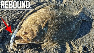 Surf Jerkbait Fluke Breakdown  Flounder Fishing 2024 [upl. by Enrobialc]