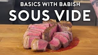 Sous Vide  Basics with Babish [upl. by Riebling249]