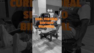 CURL FEMORAL SENTADO BILATERAL HOMBRE Tutorial GYM [upl. by Castle]