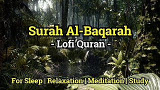 Surah AlBaqarah سورة البقرة  Lofi Quran Recitation for Sleep and Stress by Omar Hisham Al Arabi [upl. by Nileek601]