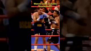 Want to see a beautiful knockdown in a boxing match delahoya boxing [upl. by Meuse282]