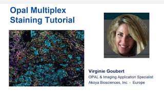 Opal™ Multiplex IHC Assay Development and Optimization Tutorial [upl. by Nellir550]