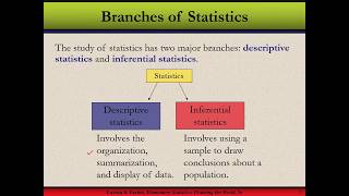 Ch01 02 Branches of Statistics [upl. by Shama]