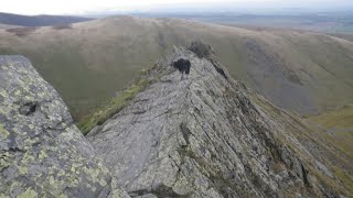 Sharp Edge Blencathra September 29th 2024 down [upl. by Tanya155]