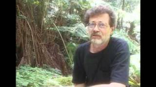 Terence McKenna  Final Earthbound Interview [upl. by Nalra389]