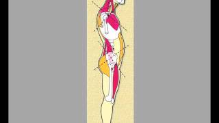 Correct Lordosis Part 13 [upl. by Eckel]