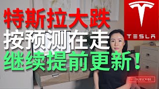 特斯拉大跌如何操作？重要支撑 比特币 英伟达 特斯拉 [upl. by Maddi928]