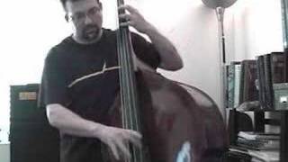 Upright bass right hand technique OLD BUT GOLD [upl. by Annawad]