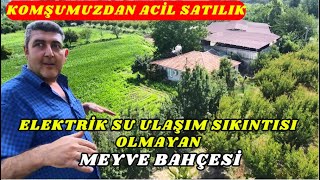 KOMŞUMUZDAN ACİL SATILIK KÖY EVİ YAPABİLECEĞİNİZ SATILIK MEYVE BAHÇESİ [upl. by Ahsetan]