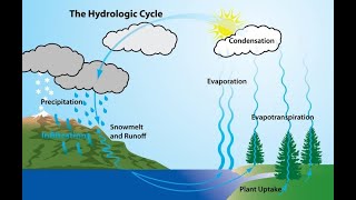 Understanding the Hydrological Cycle A Deep Dive [upl. by Artemla418]