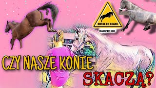 CZY NASZE KONIE SKACZĄ [upl. by Ahsenaj]