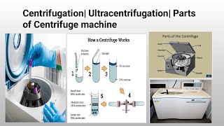 Centrifugation Ultracentrifugation Cell Fractionation [upl. by Garnette]