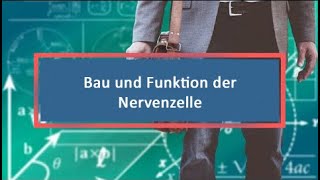 Bau und Funktion der Nervenzelle [upl. by Yehtomit]