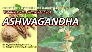 Ashwagandha Part 21 Withania somnifera Plant Based Drugs St Josephs University Aphrodisiac [upl. by Danya549]