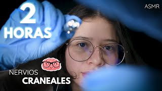 2 HORAS de examenes de NERVIOS CRANEALES  ASMR en ESPAÑOL  ASMR MEDICO [upl. by Margaretha]