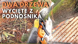 Wycinka dwóch drzew z podnośnika  CELUJEMY DRZEWAMI W PUSZKĘ 😅 [upl. by Ycniuq]