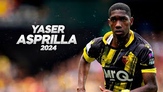 Yaser Asprilla  Full Season Show  2024ᴴᴰ [upl. by Muriel]