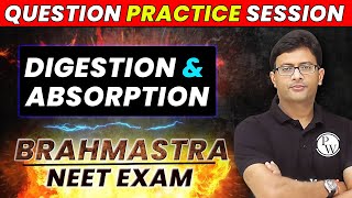 Digestion and Absorption  Question Practice Session  NEET 2023 [upl. by Burnley]