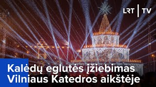 Kalėdų eglutės įžiebimas Vilniaus Katedros aikštėje  20231201 [upl. by Killarney]