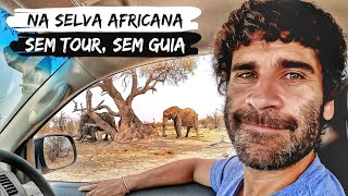 SAFARI NA ÁFRICA POR CONTA PRÓPRIA  Experiência surreal [upl. by Froma]