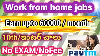 paytm recruitmentWork from home jobs in paytmPermanent Work from home jobs Paytm Work from home [upl. by Columbus548]