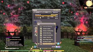 FFXIV A REALM REBORN VALENTINE DAY EVENT PARAMOUR CHOCOBO BARDING [upl. by Ahseyk652]