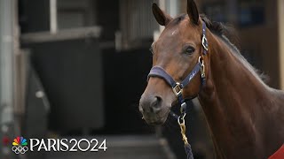 Horses arrive in style at the iconic Chateau de Versailles for the Paris Olympics  NBC Sports [upl. by Anaidni]