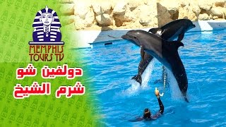 Dolphin Show Sarm El Sheikh عرض الدلافين شرم الشيخ [upl. by Naira]