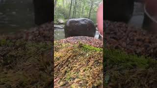 Finding Connecticut Garnets while on vacation Full video posted Gold Prospecting  Garnets [upl. by Mateusz]