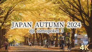 4K  Sapporo Hokkaido Japan  Autumn 2024  dji osmopoket3 [upl. by Ayerdna]