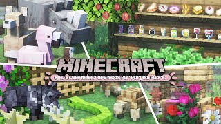 aesthetic and cute minecraft mods to improve and make your world amazing 1182 fabric amp forge [upl. by Ylrbmik155]