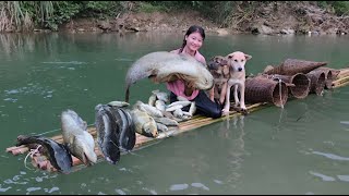 Vietnamese girl goes on an adventure with two giant fish catchers to make a living  ha thi muon [upl. by Pollock]