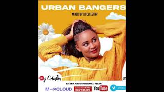 Urban Club Bangers Party Mix 6 By DJ Celestar 2021 [upl. by Gussi]