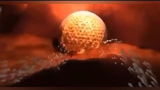 How Fertilization HappensFertilization Animation Fetus Development  Fertilization [upl. by Moretta964]