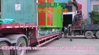 ICEUPS 8 Pallets vacuum cooler [upl. by Nnylecyoj74]