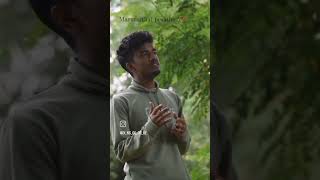 Maruvarthai pesathe 🌝maruvarthaipesathe ennainokkipaayumthotta dhanush sidsriram darbukasiva [upl. by Odrautse170]