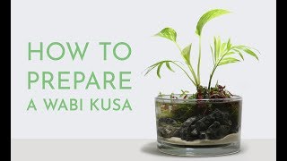 How to Make a Wabi Kusa  Preparing an  SA  Substrate Ball [upl. by Ellenyl]